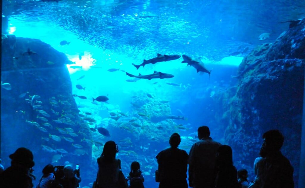 新江ノ島水族館