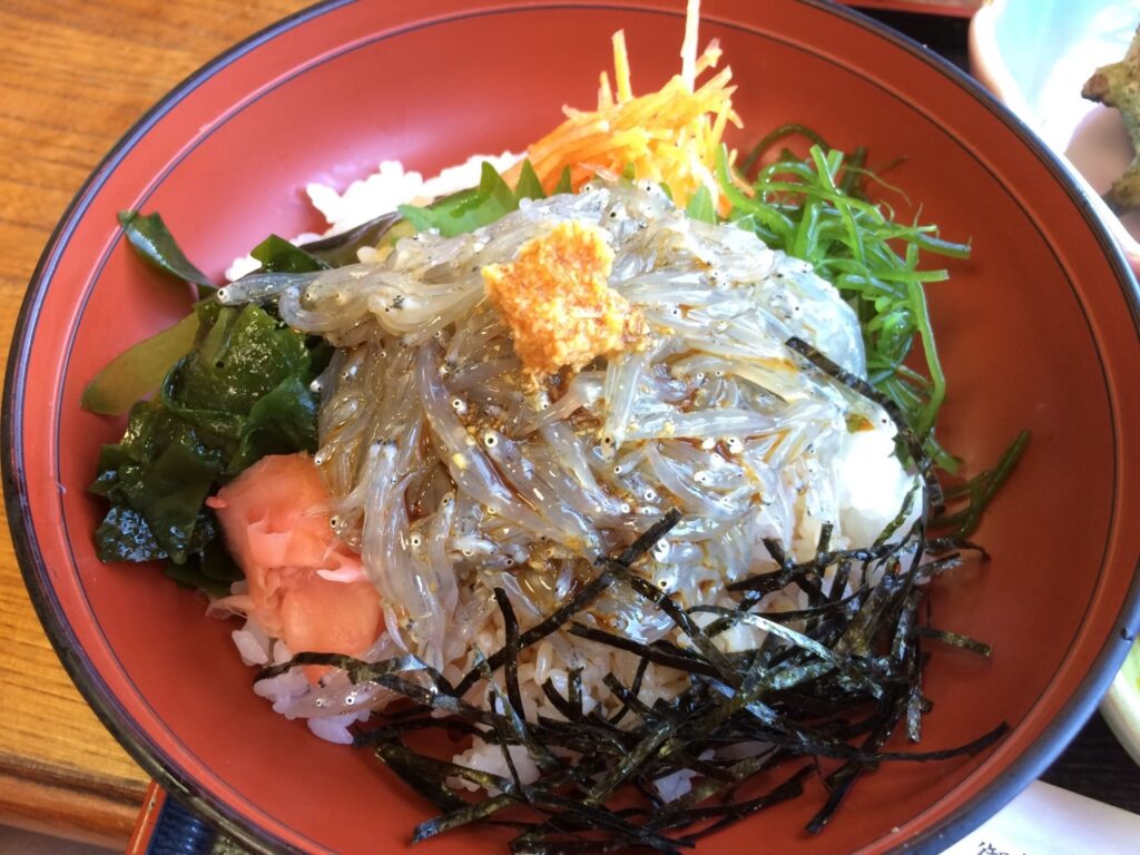 海岸に面した国道134号線沿いで食べられるしらす丼